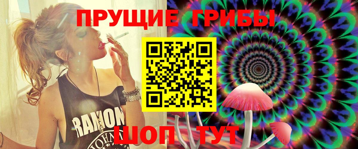 Галлюциногенные грибы прущие грибы  как найти   Вход с VPN  Подольск  Псилоцибиновые грибы Psilocybine cubensis 